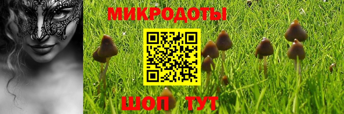 Галлюциногенные грибы GOLDEN TEACHER  Псилоцибиновые грибы Cubensis  Южно-Сахалинск  Вход с VPN 